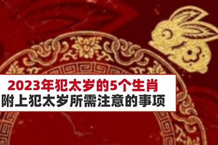 81年属鸡男2025年每月运势及运程详解