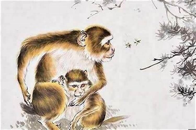 71年属猪的男人生农历冬月十二运程