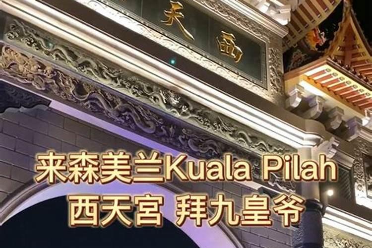 属羊的女人腊月二十三出生命运如何