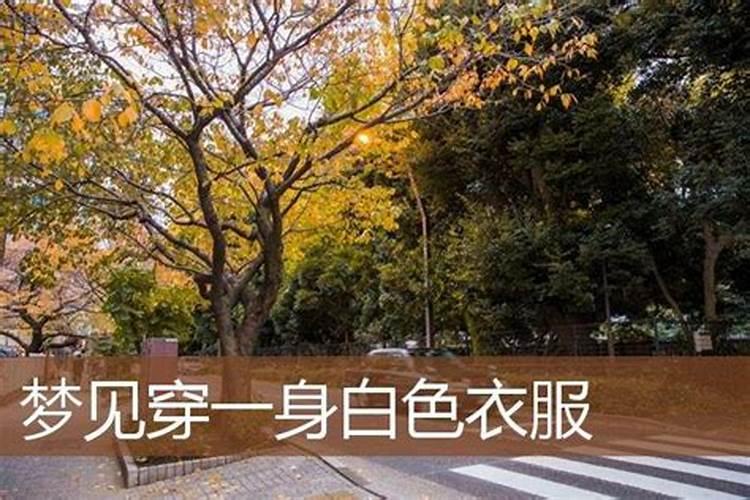 梦见梦哥哥嫂子穿白衣回家的预兆