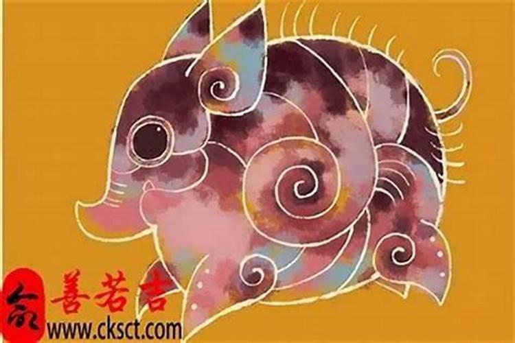 属猪的人一辈子命苦是真的吗