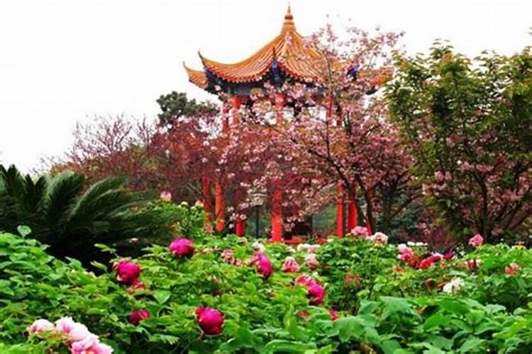 生辰八字是以阳历还是以阴历计算的？