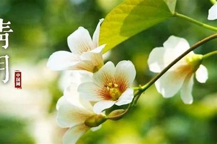 春节的民间习俗有哪些