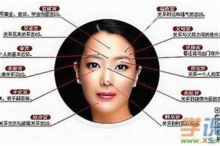 偏财非常旺的女人面相