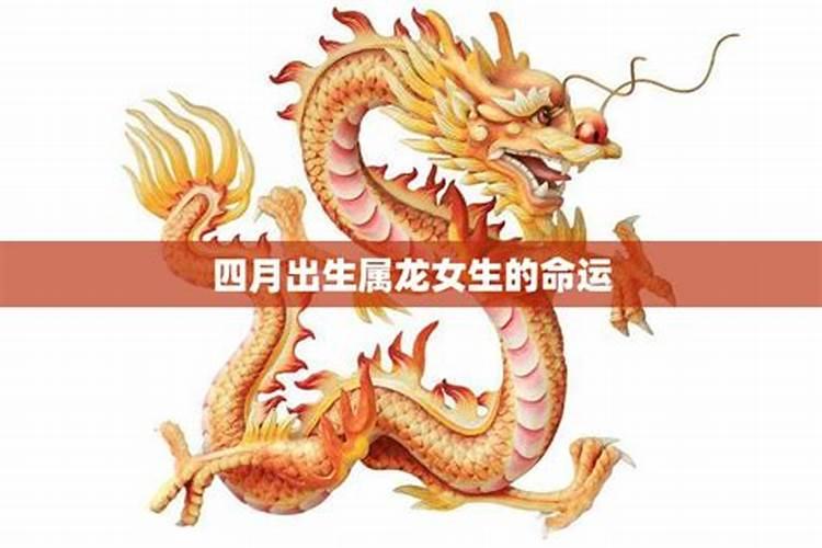 20232024邢台冬季旅游有优惠政策吗 有什么好玩的地方