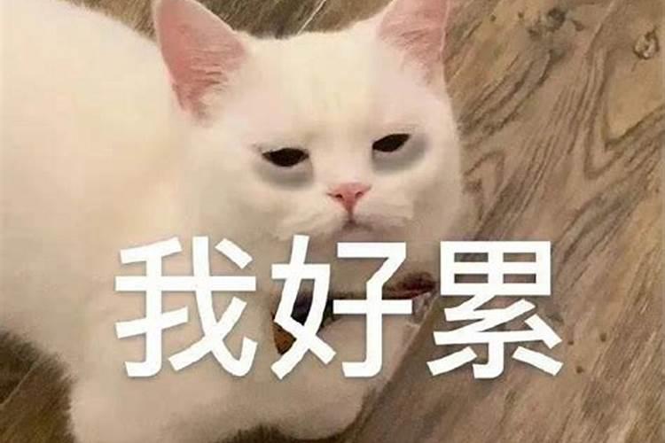 一万贯是多少个纸元宝