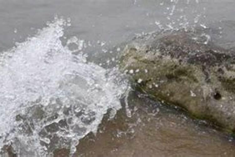 梦见水浑意思 梦见水浑意思是什么
