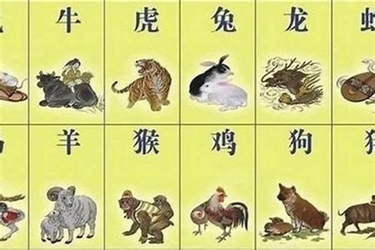 冬至节气的传统习俗有哪些