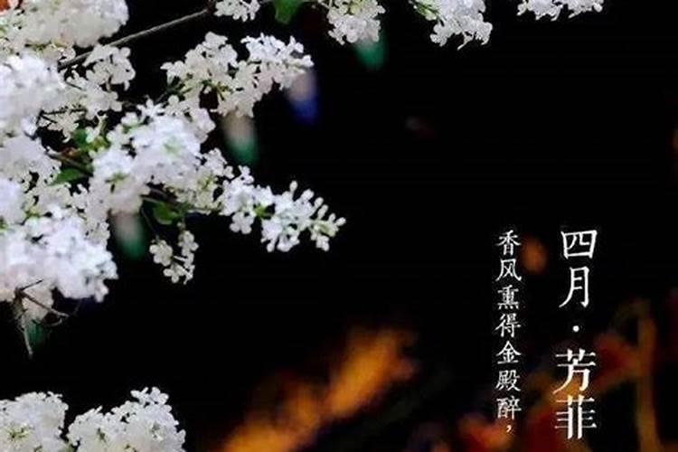 腊八饭和腊八粥的区别 腊八饭都有什么
