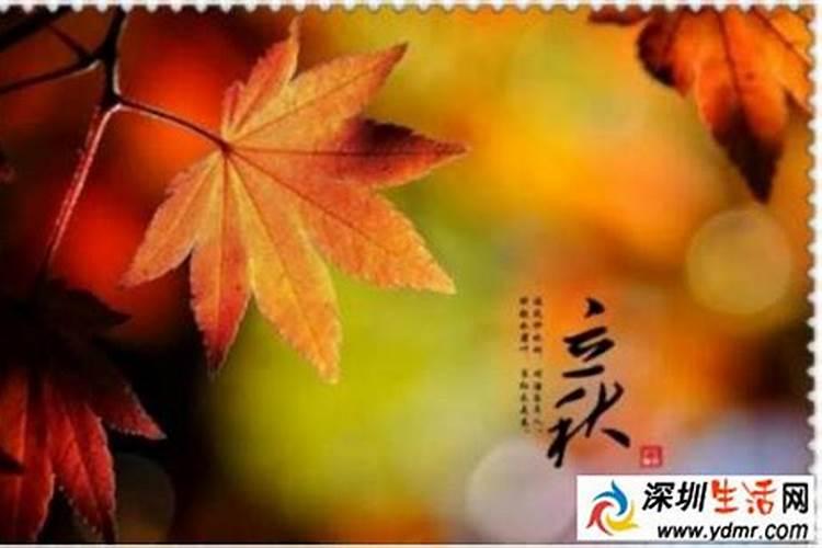 立秋当天注意事项