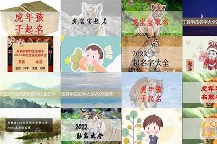 泰山童子命是什么意思