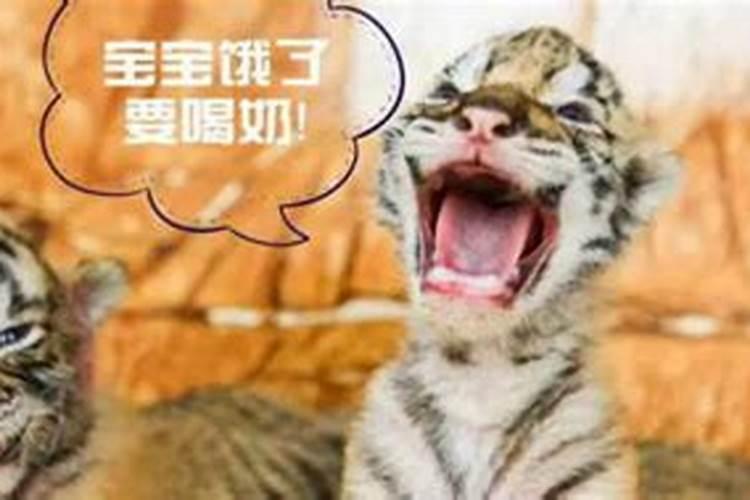 徐州风俗有哪些