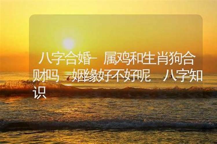 属鸡的和属狗的八字合不合适 属鸡和属狗的合适吗？