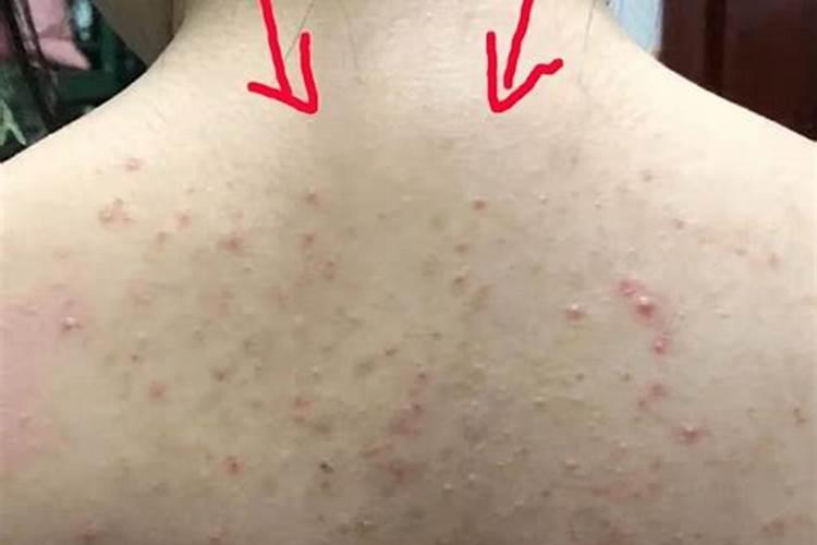 梦见女人的经血的预兆