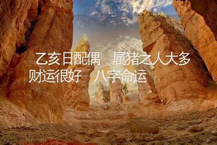 乙亥年生人是什么命
