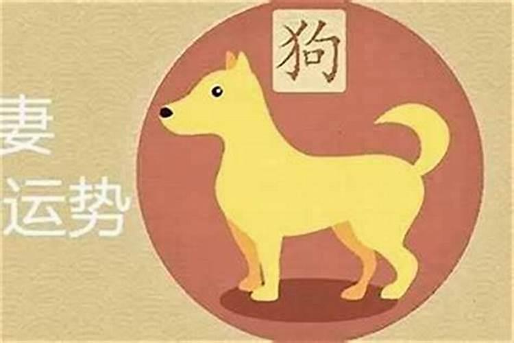 男狗和女狗的属相合不合 属狗男与属狗女的婚姻好吗