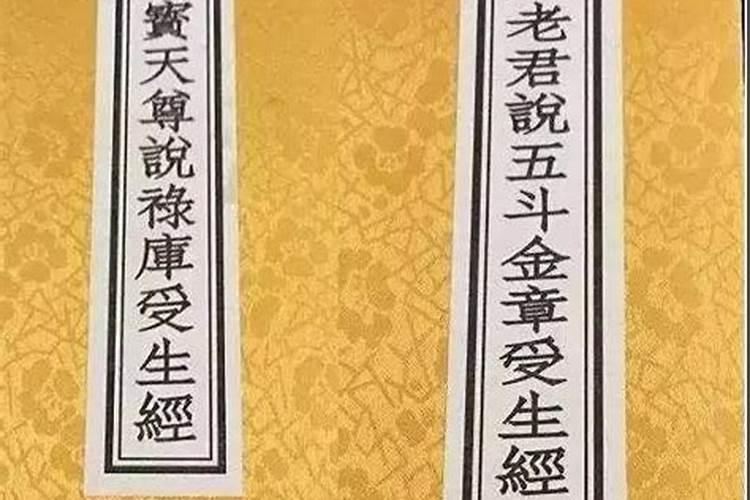 勤俭持家的女人八字命运分析 日支为正官