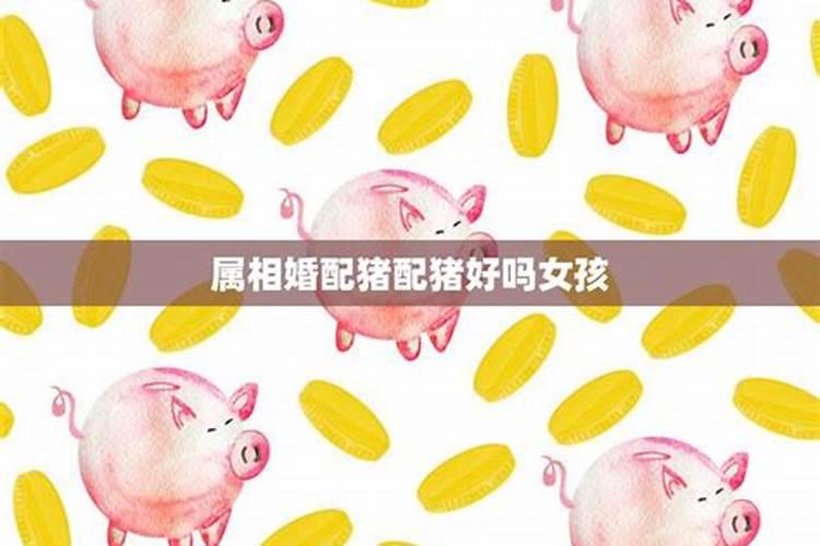 属鼠与属猪适合婚配吗 生属什么的宝宝？