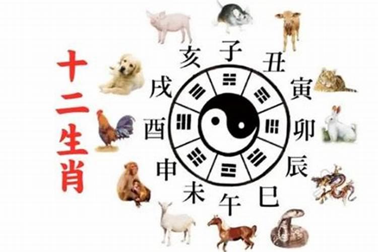 十二生肖佩戴吉祥物有哪些？