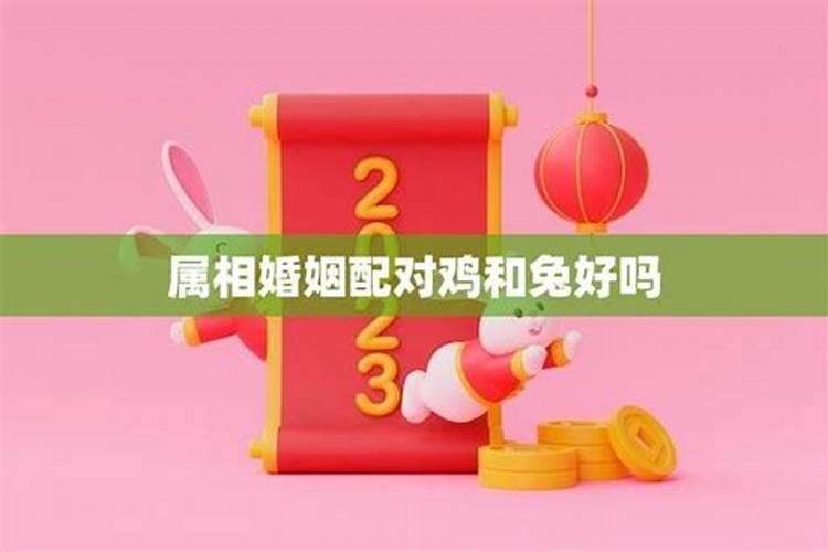 鸡和兔的这两个属相婚配有什么说法吗
