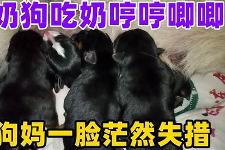 母亲梦见儿子掉水里了是什么意思