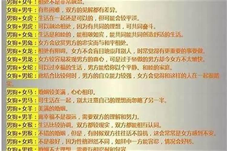探索天作之合：狗属相的完美伴侣