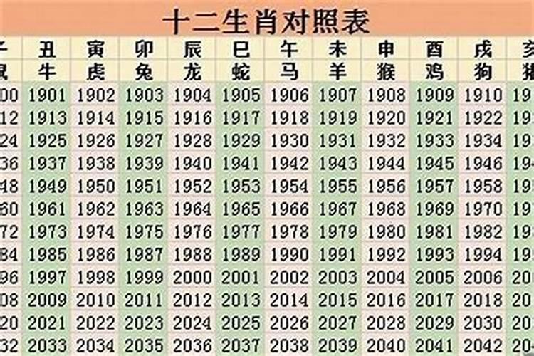 2023年是属什么生肖的年份？