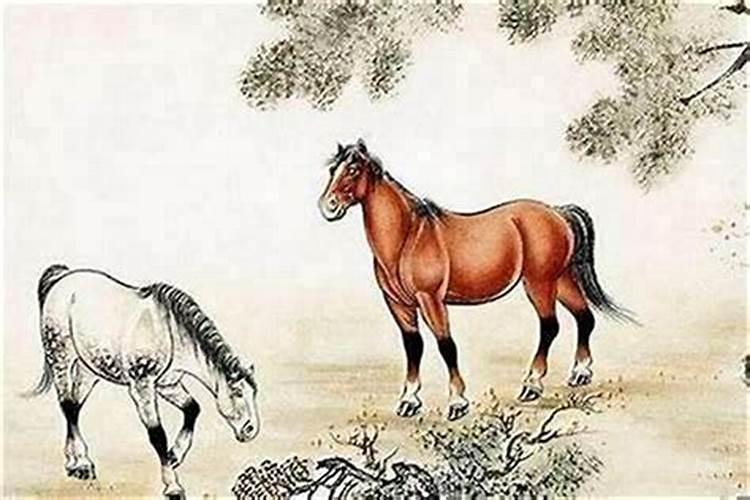属马的人适合什么方位发展？