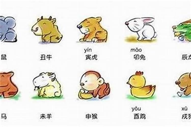 哪个属相的女孩子比较好找对象？