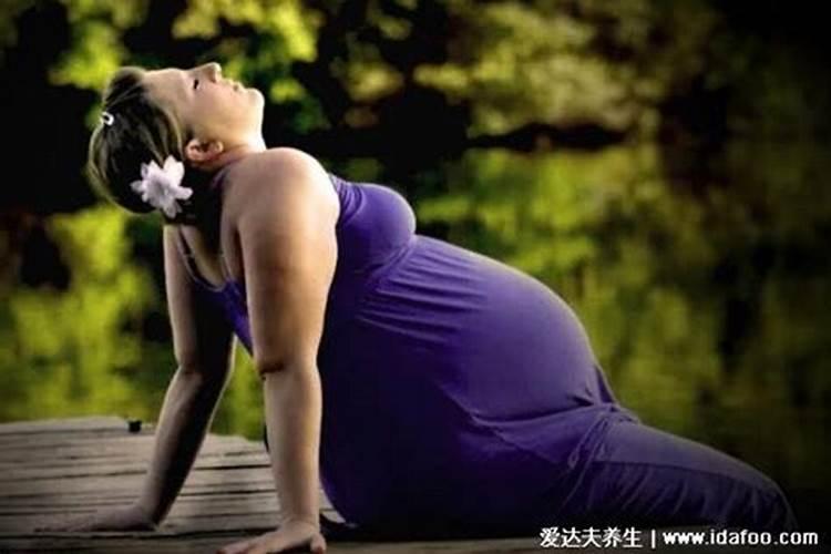 怀孕的人梦见猫：解析梦境中的神秘符号