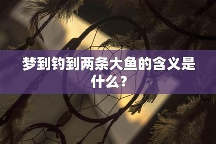 解梦探秘：梦见钓到鱼的深层含义
