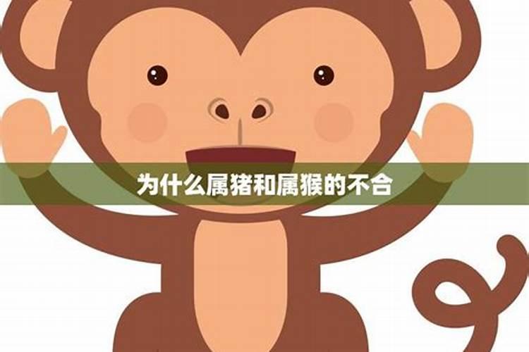 猴的性格特点与手镯的不协调