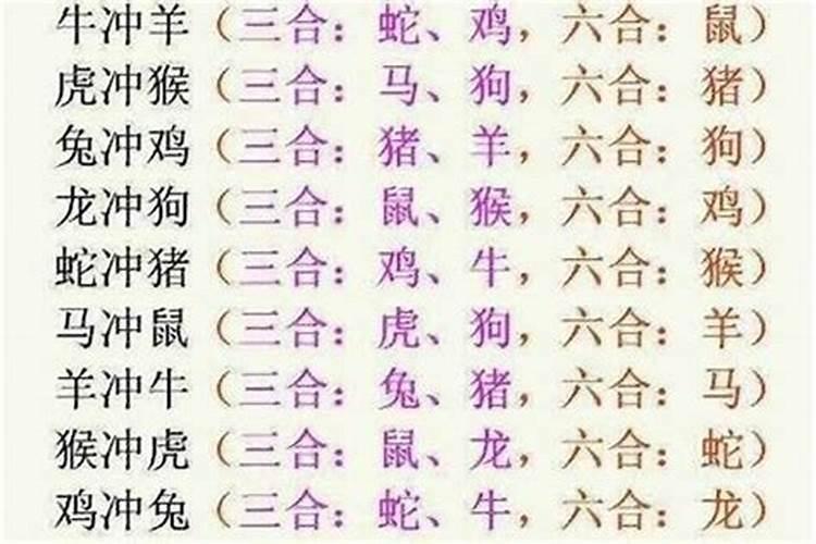 属羊与属马