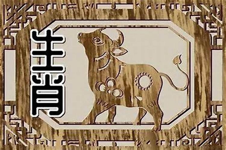 属羊与属牛