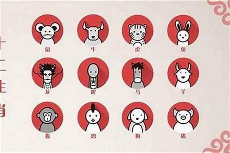 遗书在十二生肖是什么