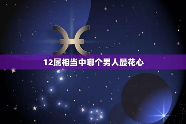 什么属相最花心男生？