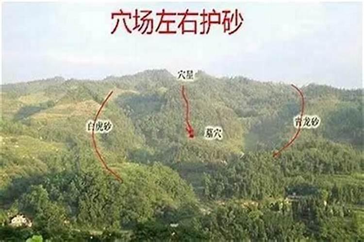 星辰之下，风水之上：星象与人居环境的和谐共舞