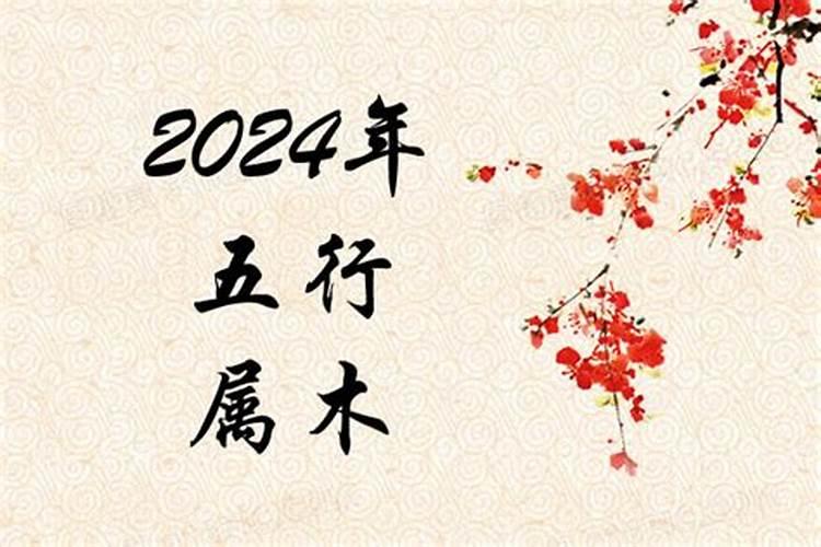 2024年五行属什么五行？