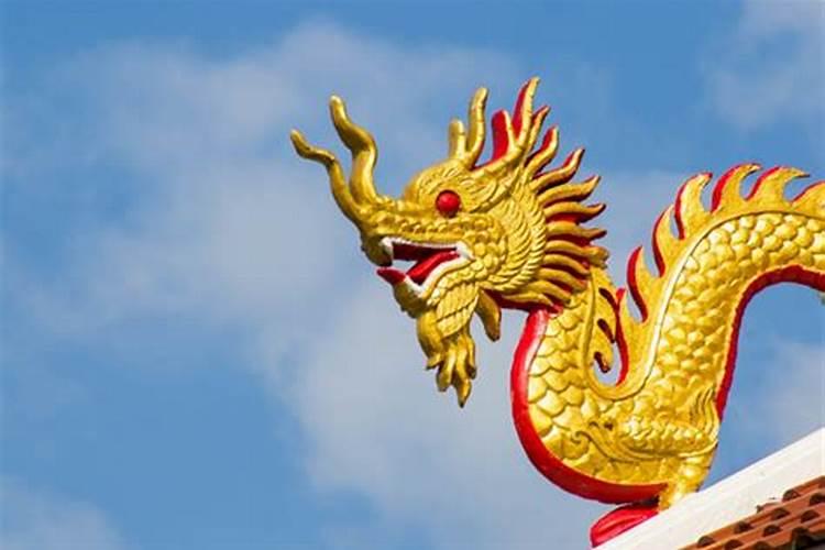 探秘属龙人的情感世界：热情如火与高贵冷艳的交织
