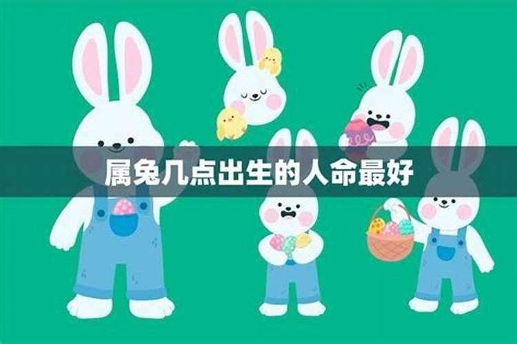 揭秘属兔人最佳出生月份：命运的奥秘与选择的智慧