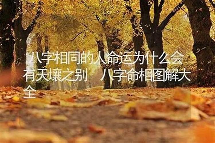 八字与命运：命理学视角下的探讨