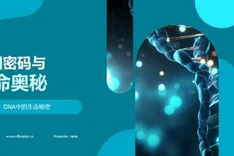 解码缘分：生命密码与婚姻的奥秘