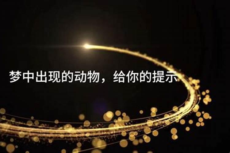梦境的隐喻：外婆家的蛇意象解读