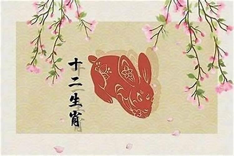 2024年什么生肖适合生宝宝？