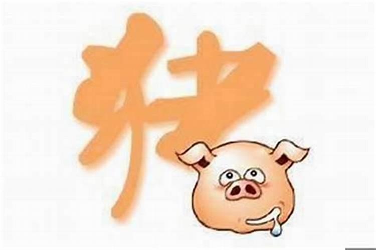 穿越时空的预言：1971年属猪人的运势探秘