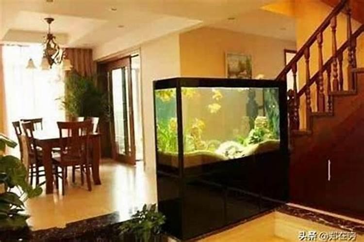 水族馆在家居风水中的秘密：鱼缸的布局与能量流动