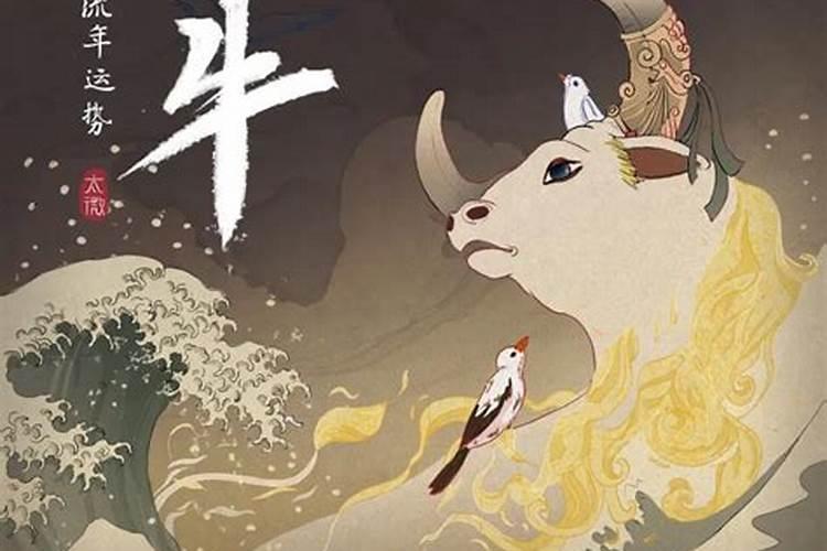属牛的人最怕什么：揭秘牛人的内心恐惧？