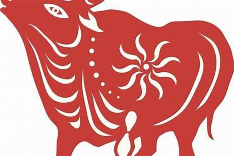 属牛人的今日运势详解：把握机遇，迎接挑战