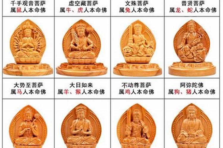 生肖龙的守护神