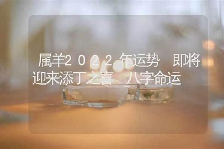 属羊男的添丁吉时：何时迎来家庭的新成员